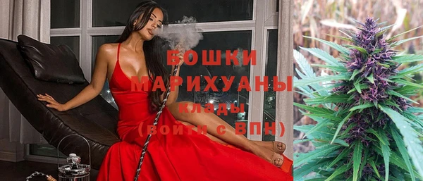 ешки Арсеньев
