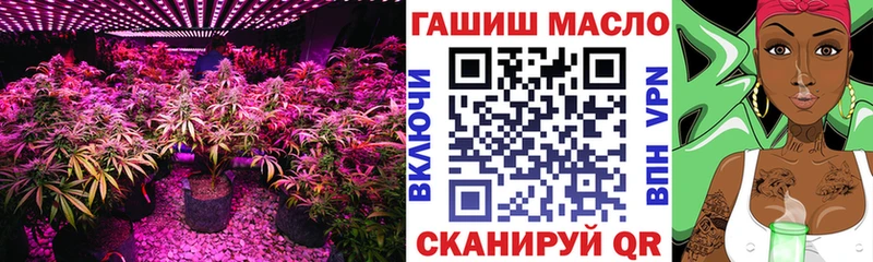 ТГК THC oil  наркота  кракен зеркало  Маркс 
